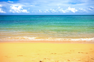 sea surf on the beach