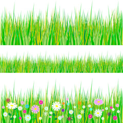 Spring grass and flowers borders. Seamless pattern Easter decoration with spring grass and meadow flowers. Isolated on white background. Vector