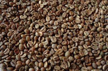 Raw coffee beans