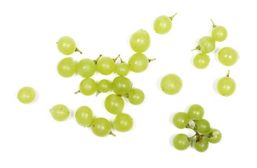 white grapes isolated on white background, top view