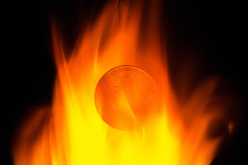 Coin bitcoin on fire