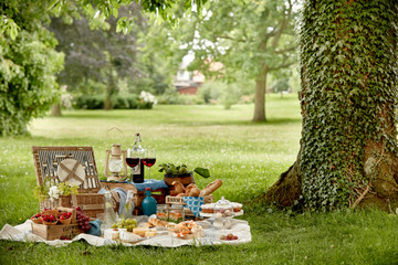 Outdoors lifestyle picnic in a lush green park - obrazy, fototapety, plakaty