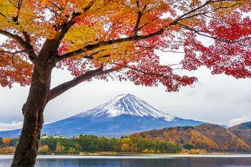 Gardinen Autumn Season and Fuji mountains at Kawaguchiko lake, Japan. © tawatchai1990