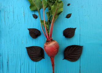 Beetroot and basil - organic nutrient-rich food, top view. Beautiful nature. 