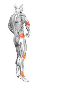 Conceptual human muscle anatomy with red and yellow hot spot inflammation or articular joint pain for health care therapy or sport concepts. 3D illustration man arthritis or bone osteoporosis disease