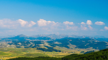 Summer meadows with pretty houses and hills covered by forest on the sunny day