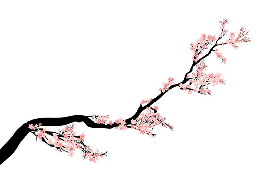 blooming cherry tree branch - spring season asian style vector decor