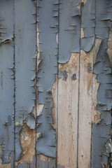 A full frame background image of blue, cracked and peeling paint on wood and wooden boards with copy space.