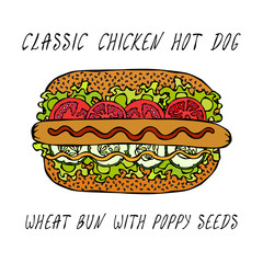 Classic Chicken Hot Dog on a Sesame Bun with Lettuce Salad, Tomato, Cucumber, Mustard, Ketchup. Street Fast Food Collection. Realistic Hand Drawn High Quality Vector Illustration. Doodle Style.