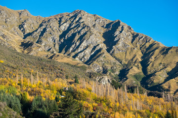 Arrow river in summer, historic gold mining town  South Island of New Zealand.