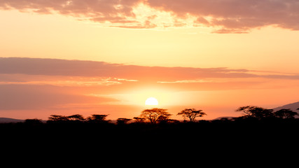 Sunrise Buffalo Springs National Reserve