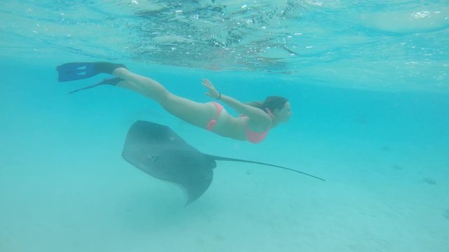 SLOW MOTION UNDERWATER: Woman in bikini plays with friend sea ray and cute little shark while exploring the crystal clear sea near tropical island. Curious female traveler swimming with local wildlife