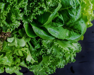  Mixed Green Salad on a dark background