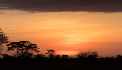 Sunrise in Meru National Park