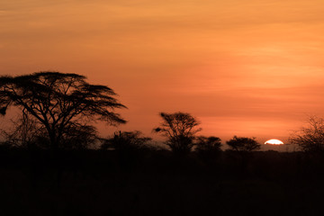 Fototapeta na wymiar Sunrise in Meru National Park