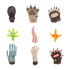 Fototapeta premium Flat vector set of paws of various animals: dog, bear, cat, frog, monkey, chicken leg, horse hoof and tentacle of octopus