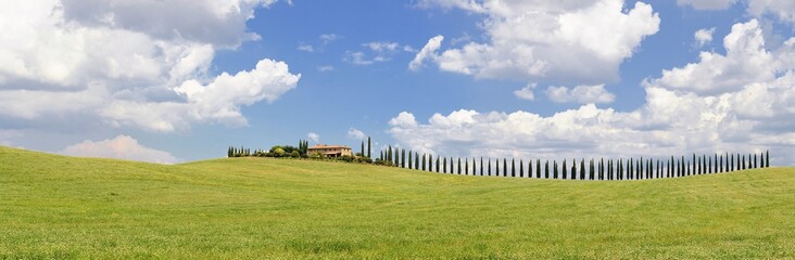 Cypress trees and meadow with typical tuscan house.