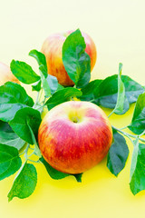 fresh ripe apples