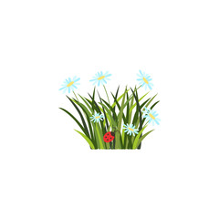 vector flat easter holiday, spring meadow icon with green fresh grass, white daisy flowers ladybug Element for poster banner template design. Isolated illustration on a white background.