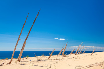 Sleeping Bear Dunes National Lakeshore, Michigan