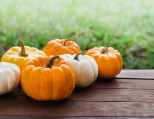 Pumpkins on the wooden background