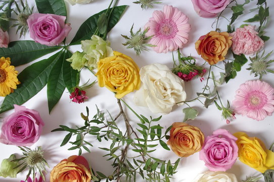 fond fleurs