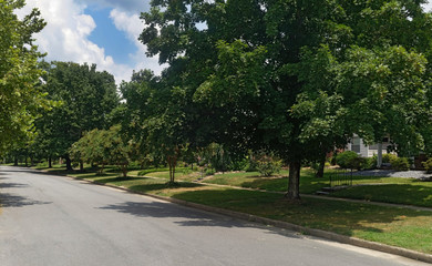 Quiet urban neighborhood street.