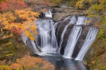 Fukuroda falls  ~ autumn