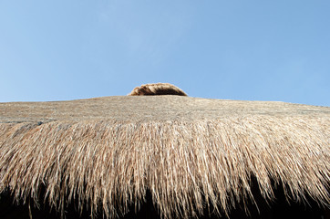 Roof made up of hay. Landscape