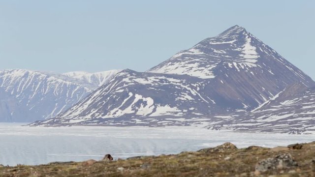 Kids playing in the Streets of Pond Inlet, Nunavut