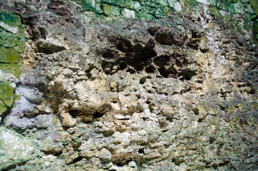 Stone with green moss and algae. Soil, abstract