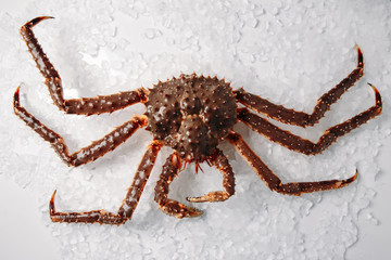 Crab food