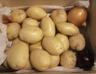 Collection of Potatoes