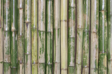 bamboo fence texture background