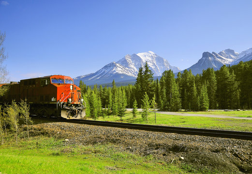 Fototapeta Freight train approaches to Lake Louise station.