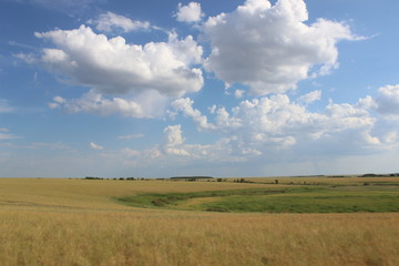 Obraz premium steppe