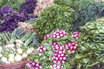 Vegetables in the market, radishes, onions, dill, parsley,