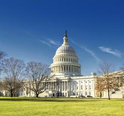 Obraz premium Capitol Building in Washington DC USA 