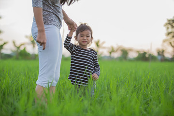 Fototapeta premium worried asian child in paddy rice 