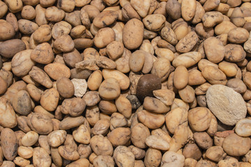 abstract background with round pebble stones