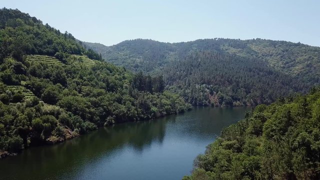 ribeira sacra, a&eacute;rea con vi&ntilde;as y bosques a la orilla del r&iacute;o mi&ntilde;o