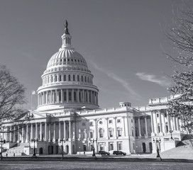 Fototapeta na wymiar Capitol Building in Washington DC USA 