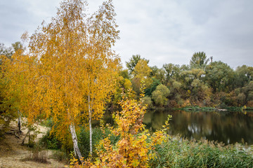 Autumn on the shore of the lake