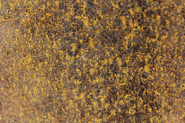 The old rusty surface
