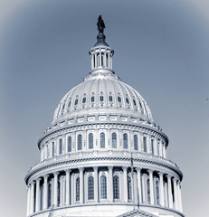 Obraz premium Capitol Building in Washington DC USA 