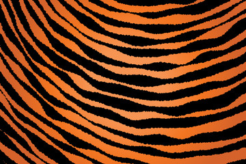 Close up Stripe Animal Pattern