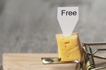 Free cheese in a mousetrap