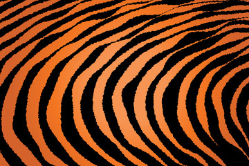 Close up Stripe Animal Pattern
