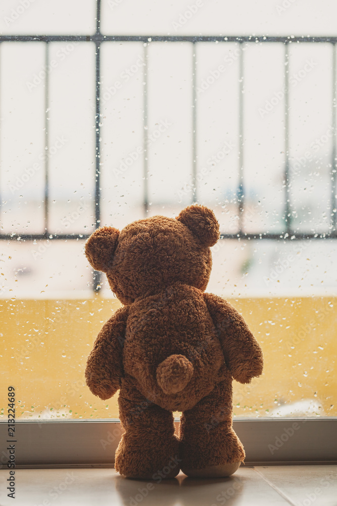 Wall mural teddy bear