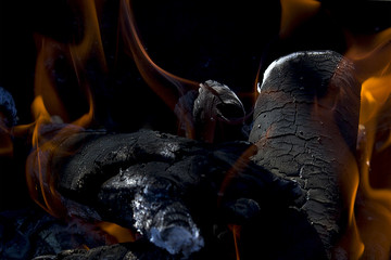 Fire wood burning firewood